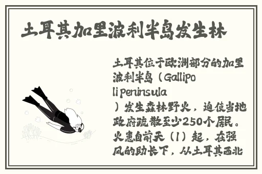 亚洲欧美国产精品